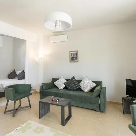 公寓 Elani-elaiavillas *