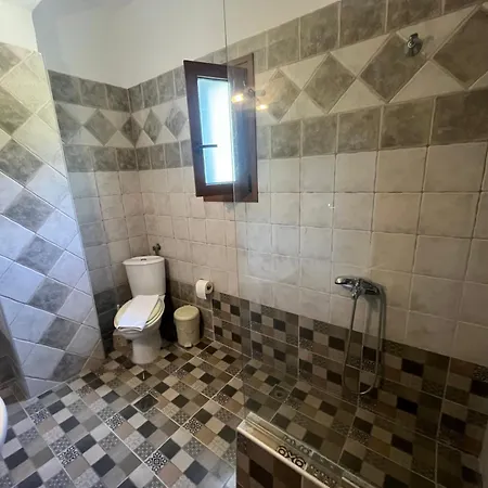 公寓 Elani-elaiavillas